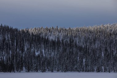 Winter landscape in Pallas Yllastunturi National Park, Lapland, northern Finland.