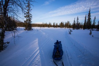 Ski expedition in Pallas Yllastunturi National Park, Lapland, northern Finland.