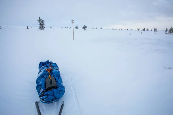 Spedizione Sci Nel Parco Nazionale Pallas Yllastunturi Lapponia Finlandia — Foto Stock