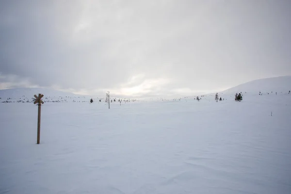 Winter Landscape Pallas Yllastunturi National Park Lapland Finland — Fotografia de Stock