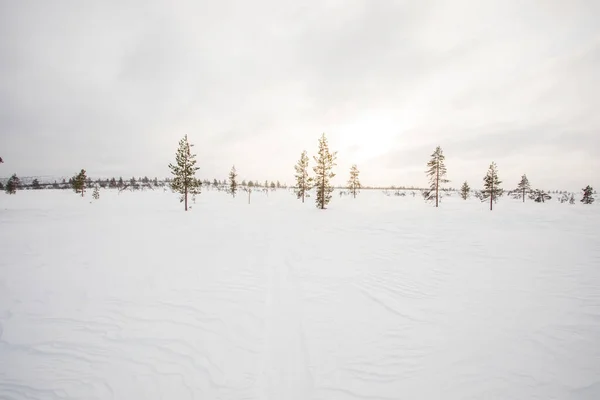 Winter Landscape Pallas Yllastunturi National Park Lapland Finland — стоковое фото