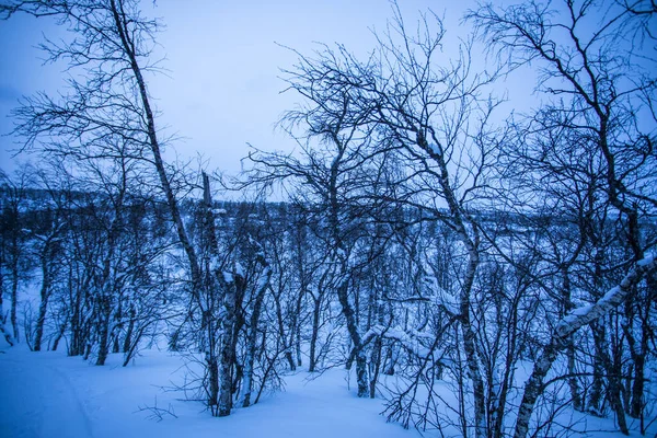 パラス ヤスタトゥリ国立公園 ラップランド フィンランド北部に冬の風景 — ストック写真