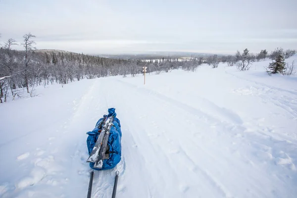 Лыжная Экспедиция Национальном Парке Палластунтури Лапландия Финляндия — стоковое фото