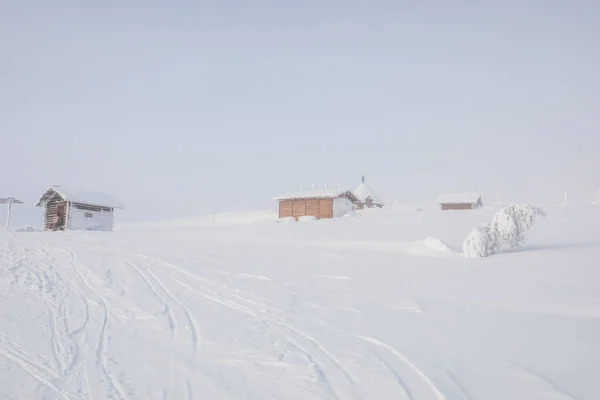 Ski Expedition Pallas Yllastunturi National Park Lapland Northern Finland — Stock Fotó