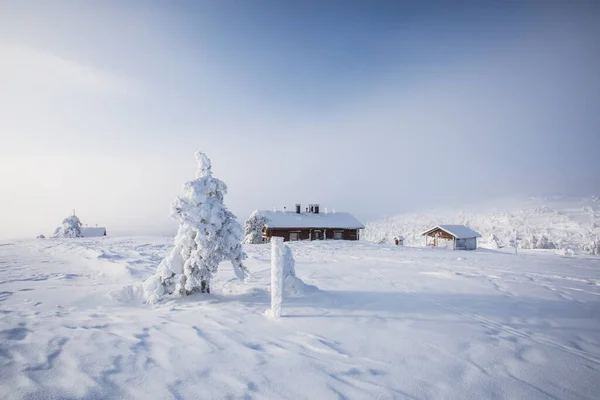 Ski Expedition Pallas Yllastunturi National Park Lapland Northern Finland — 图库照片