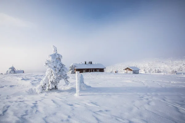 Ski Expedition Pallas Yllastunturi National Park Lapland Northern Finland — Φωτογραφία Αρχείου