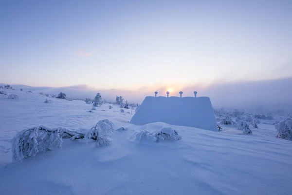 Ski Expedition Pallas Yllastunturi National Park Lapland Finland — Stockfoto