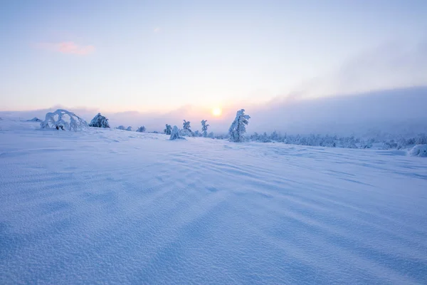 Winter Landscape Pallas Yllastunturi National Park Lapland Northern Finland — Stockfoto