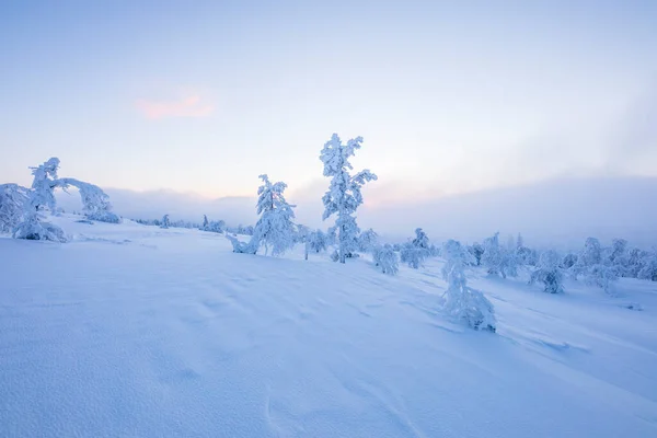 Winter Landscape Pallas Yllastunturi National Park Lapland Northern Finland — Foto de Stock