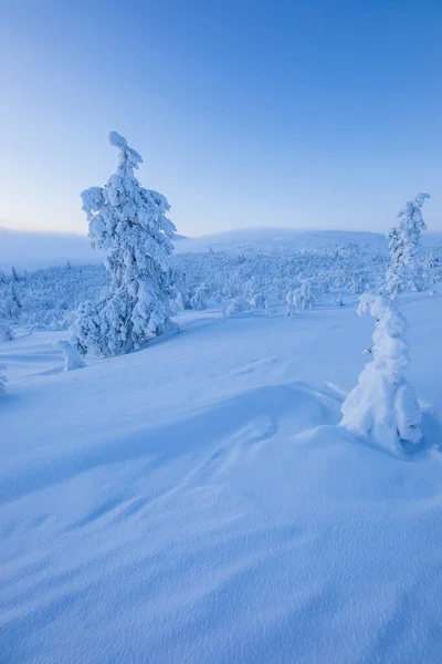 Winter Landscape Pallas Yllastunturi National Park Lapland Finland — Foto de Stock