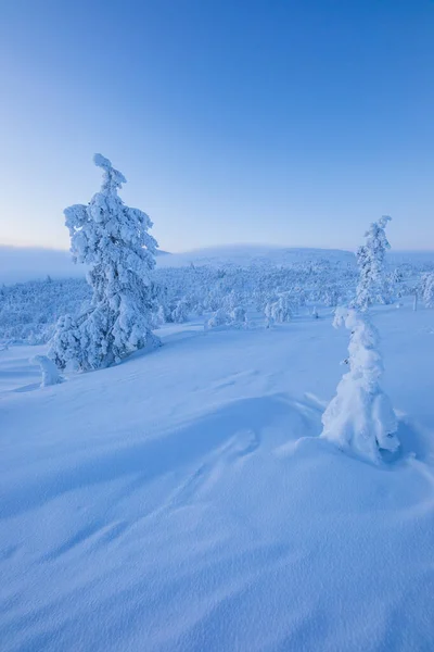 Winter Landscape Pallas Yllastunturi National Park Lapland Northern Finland — Fotografia de Stock