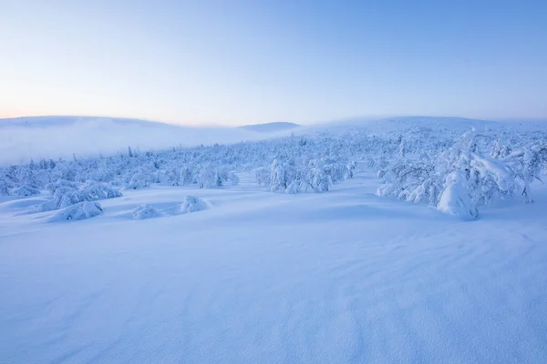 Winterlandschap Nationaal Park Pallas Yllastunturi Lapland Finland — Stockfoto