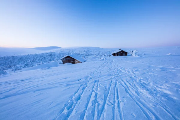 Skitour Pallas Yllastunturi Nationalpark Lappland Finnland — Stockfoto