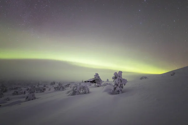 Northern Lights Pallas Yllastunturi National Park Lapland Northern Finland — Φωτογραφία Αρχείου