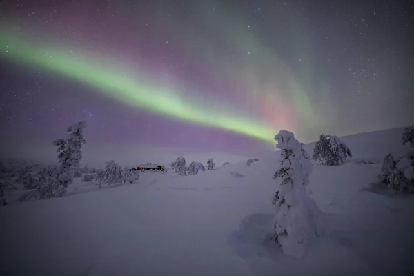Northern Lights Pallas Yllastunturi National Park Lapland Northern Finland — Stock Photo, Image