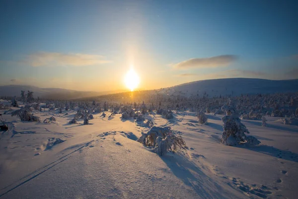 Winter Sunset Pallas Yllastunturi National Park Lapland Northern Finland — Φωτογραφία Αρχείου