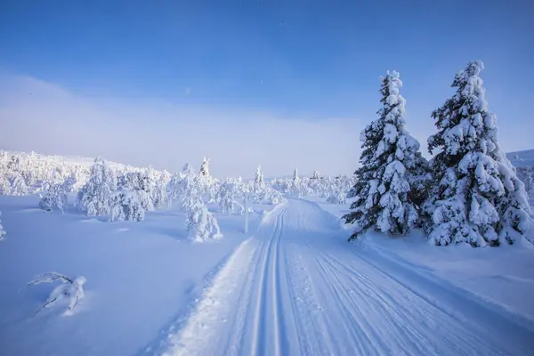 Winter Landscape Pallas Yllastunturi National Park Lapland Northern Finland — Stock fotografie