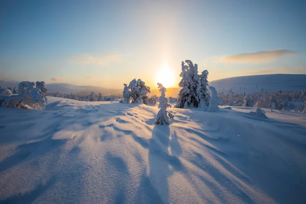 Χειμερινό Ηλιοβασίλεμα Στο Εθνικό Πάρκο Pallas Yllastunturi Λαπωνία Φινλανδία — Φωτογραφία Αρχείου