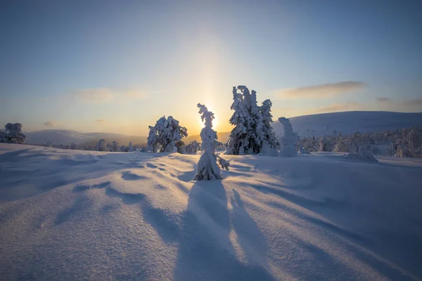Winter Sunset Pallas Yllastunturi National Park Lapland Northern Finland — Fotografie, imagine de stoc