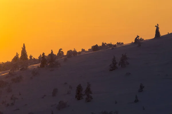 Winter Sunset Pallas Yllastunturi National Park Lapland Northern Finland — Fotografie, imagine de stoc