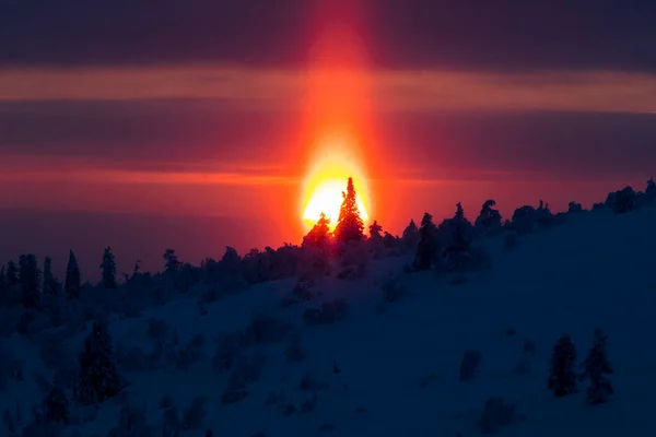 Зимний Закат Национальном Парке Палластунтури Лапландия Финляндия — стоковое фото