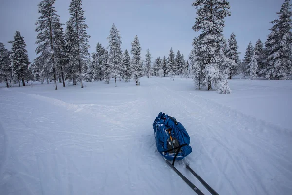 Ski Expedition Pallas Yllastunturi National Park Lapland Northern Finland — 图库照片