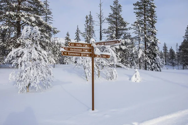 Ski Expedition Pallas Yllastunturi National Park Lapland Northern Finland — 스톡 사진