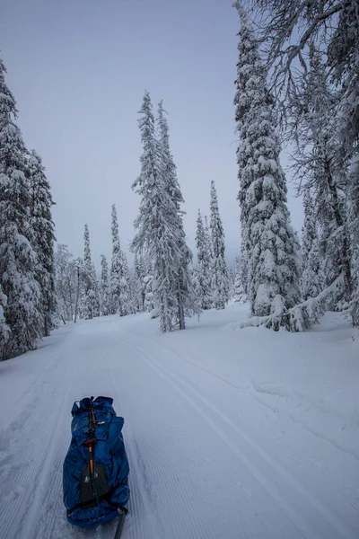 Ski Expedition Pallas Yllastunturi National Park Lapland Northern Finland — Zdjęcie stockowe