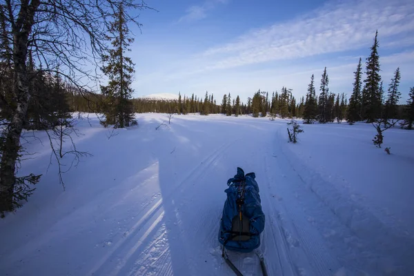 Ski Expedition Pallas Yllastunturi National Park Lapland Northern Finland — Zdjęcie stockowe