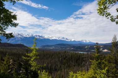 Yaz Sunwapta Şelalesi 'nde, Jasper Ulusal Parkı Kanada' da