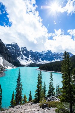 Moraine Gölü 'nde yaz manzarası, Kanada' da Banff Ulusal Parkı