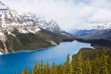 Peyto Gölü 'nde yaz manzarası, Kanada Banff Ulusal Parkı