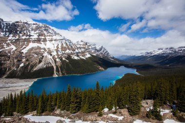 Summer landscape in Peyto lake, Banff National Park in Canada