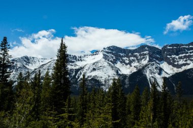 Summer landscape in Banff National Park in Canada