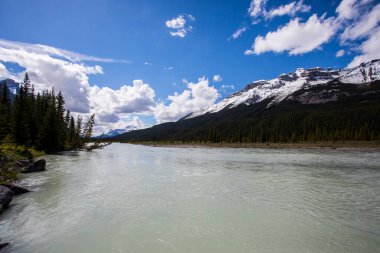 Summer landscape in Jasper National Park in Canada