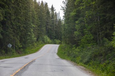 Summer landscape in Banff National Park in Canada