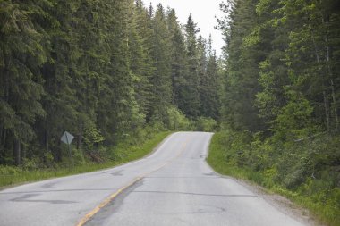 Summer landscape in Banff National Park in Canada