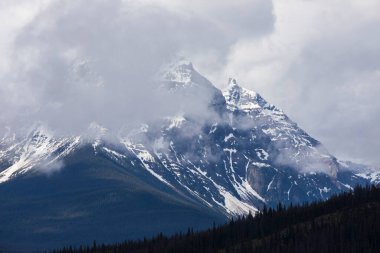 Summer landscape in Jasper National Park in Canada