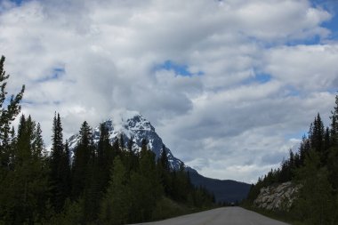 Summer landscape in Jasper National Park in Canada