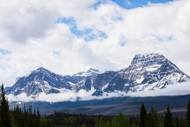 Summer landscape in Jasper National Park in Canada