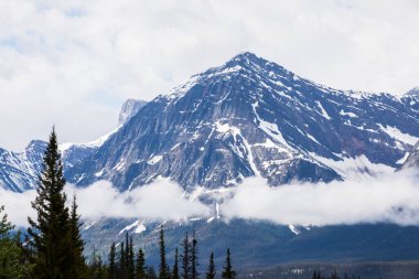 Summer landscape in Jasper National Park in Canada