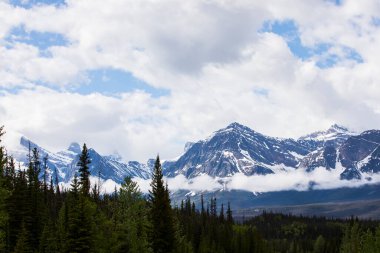 Summer landscape in Jasper National Park in Canada