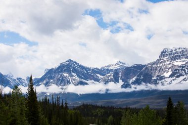 Summer landscape in Jasper National Park in Canada