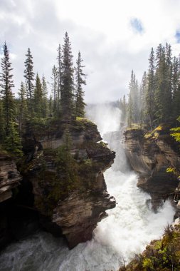 Summer in Athabasca Falls, Jasper National Park, in Canada.