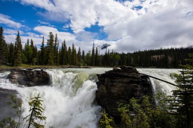Summer in Athabasca Falls, Jasper National Park, in Canada.