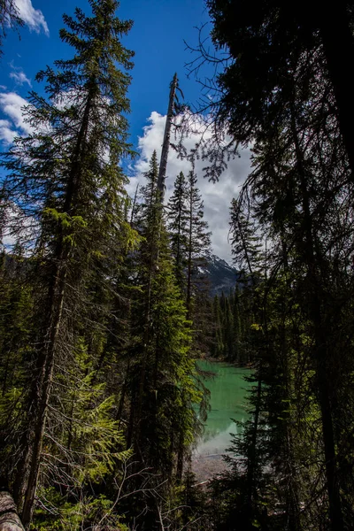 Sommerlandschaft Emerald Lake Yoho Nationalpark Kanada — Stockfoto
