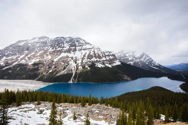 Paisaje Verano Lago Peyto Parque Nacional Banff Canadá — Foto de Stock