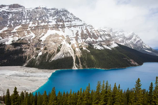 Θερινό Τοπίο Στη Λίμνη Peyto Banff National Park Στον Καναδά — Φωτογραφία Αρχείου