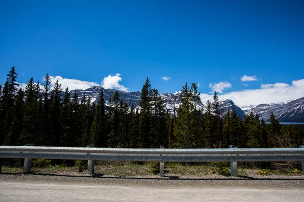 Paysage Estival Dans Parc National Banff Canada — Photo