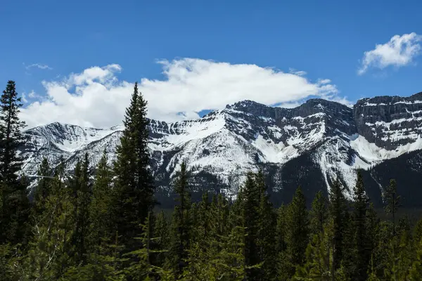 Summer Landscape Banff National Park Canada — 스톡 사진